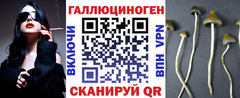 Псилоцибиновые грибы Psilocybine cubensis  Купить закладки  Комсомольск-на-Амуре 